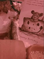 78DFD6BA-402D-4C86-9086-5982442EFF7C.jpeg
