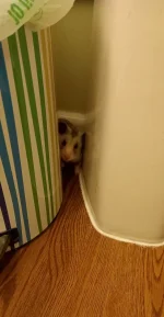 20230322_191839.jpg