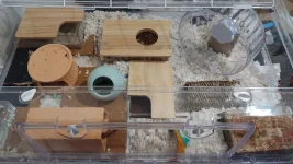 IMG_20230326_194351_copy_1457x819.webp IMG_20230326_194351_copy_1457x819.webp