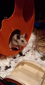 20230323_200212.webp 20230323_200212.webp