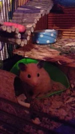 20200907_200617.webp 20200907_200617.webp