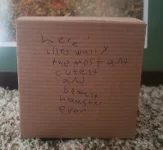 Wally's coffin.webp