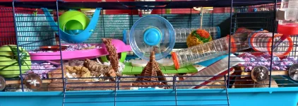 20230402_140519.webp