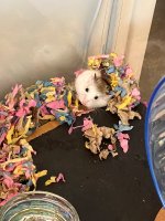IMG_3961.jpeg