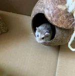 IMG_0071 resized 650.webp IMG_0071 resized 650.webp