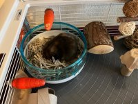 IMG_7274.jpeg