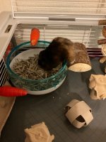 IMG_7287.jpeg