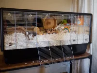 P7090169.webp P7090169.webp