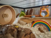 P7090174.webp P7090174.webp