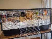 P7090176.webp P7090176.webp