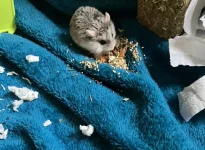 IMG_0395 cropped 2.webp IMG_0395 cropped 2.webp