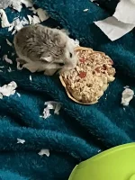 IMG_0403.webp IMG_0403.webp