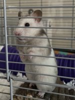 IMG_4877.jpeg