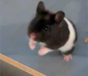 1000030530.webp 1000030530.webp