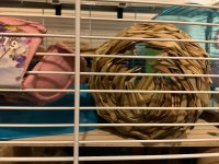 IMG_7990.jpeg