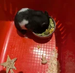 1000030579.webp 1000030579.webp