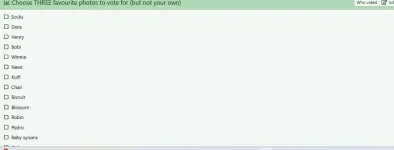 Poll.webp