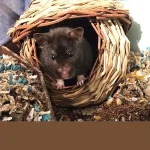 Photo comp winner Oaky