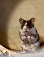 IMG_4456.jpeg
