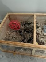 IMG_6182.jpeg