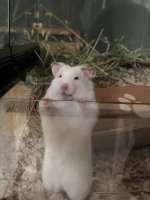 IMG_9541.jpeg