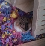 IMG_20250406_080754_326~2.jpg