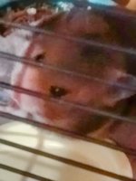 IMG_20250325_065339~3.jpg