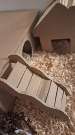 Cardboard set up.webp