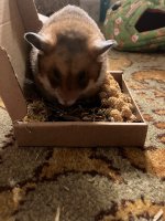 IMG_2869.jpeg