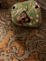IMG_2861.jpeg