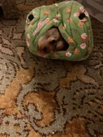 IMG_2861.jpeg
