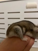 IMG_0548.jpeg