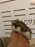 IMG_0545.jpeg
