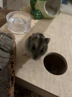 IMG_0551.jpeg