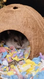 IMG_20250612_214908470_AE.webp IMG_20250612_214908470_AE.webp