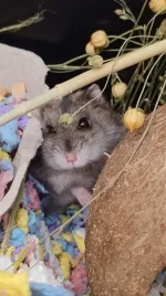 IMG_20250612_214633250_AE.webp IMG_20250612_214633250_AE.webp