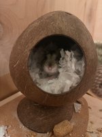 IMG_7408.jpeg