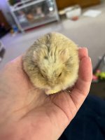 IMG_4160.jpeg