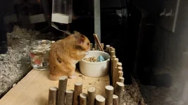 20250613_212659 (2).webp