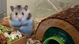 20250311_084919 (2).webp