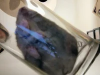 IMG_20250624_231441992_HDR_AE.webp IMG_20250624_231441992_HDR_AE.webp