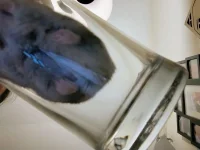 IMG_20250624_231444430_HDR_AE.webp IMG_20250624_231444430_HDR_AE.webp