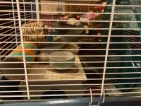 IMG_8090.webp IMG_8090.webp