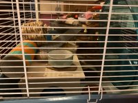 IMG_8090.jpeg