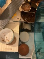 IMG_8091.jpeg