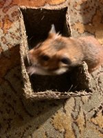 IMG_2905.jpeg