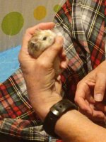 IMG_20250704_205633_598~2.jpg