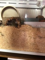 IMG_4263.jpeg