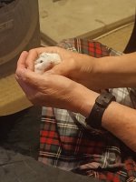 IMG_20250708_221307_181.jpg