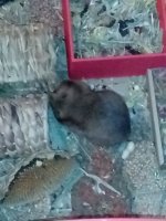 IMG_20250709_084642.jpg